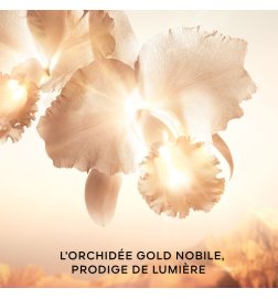 Orchidée Impériale Gold Nobile - Die Creme - Die Nachfüllpackung